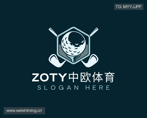 认识zoty中欧